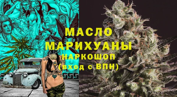 индика Козловка