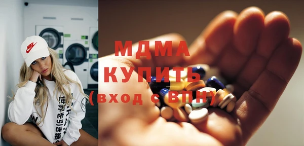 индика Козловка
