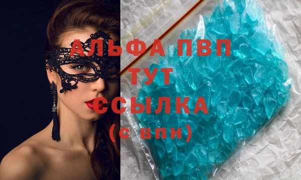 прущие грибы Кинешма
