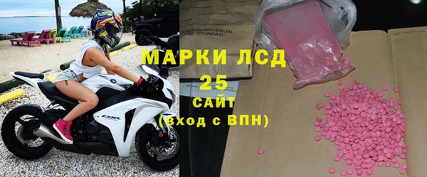 индика Козловка