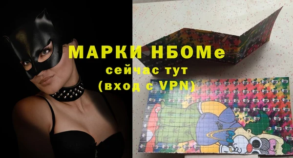индика Козловка