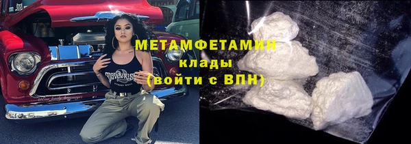 прущие грибы Кинешма