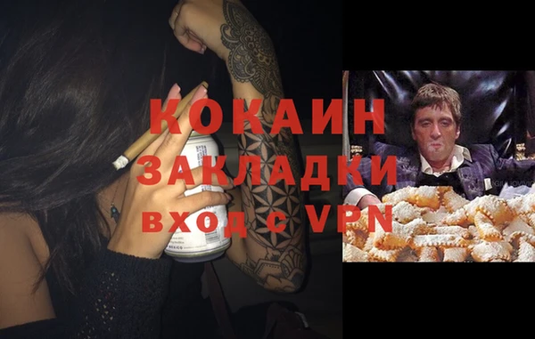 apvp Козельск