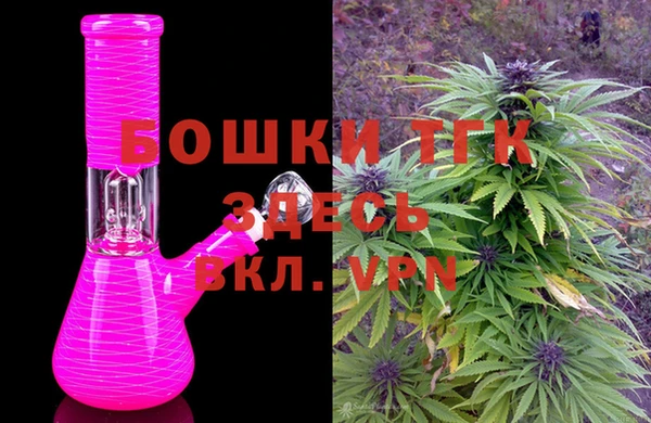 индика Козловка