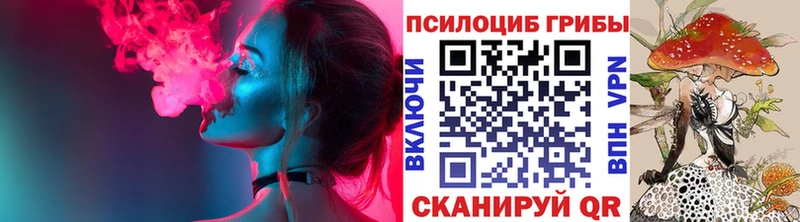 Купить закладки  Бугульма  Псилоцибиновые грибы Magic Shrooms 